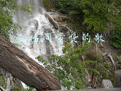 直播间带货音乐(「直播技巧」知识付费类直播带货话术模板)