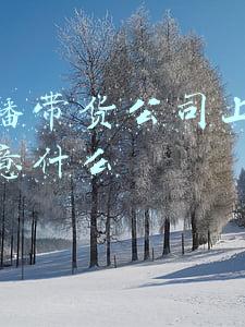 去直播带货公司上班需要注意什么