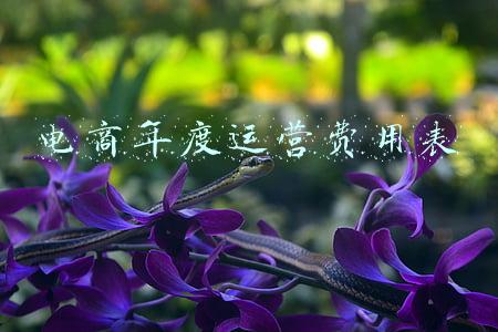 电商平台运营费用预算(电商定价公式+六条定价法)