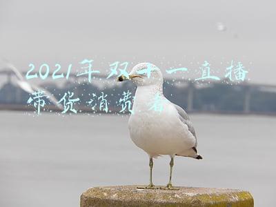 2021年双十一直播带货消费者