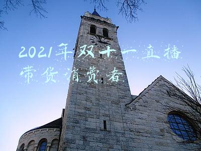 2021年双十一直播带货消费者