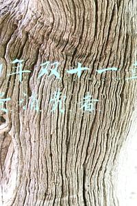 2021年双十一直播带货消费者