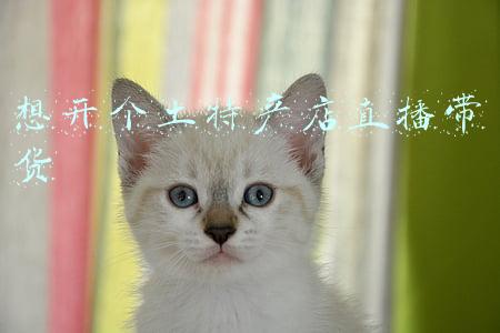 土特产直播带货销售方案(汉源土特产销售新模式探索（01常见模式利弊和核心关键）)