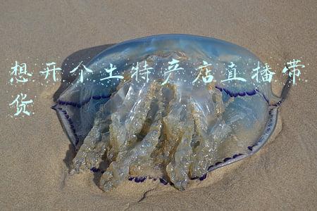 可以直播带货的平台(20家直播平台“测评”报告：哪家平台更带货？)