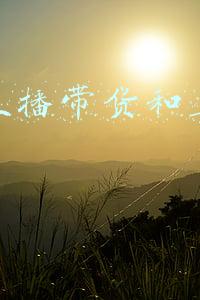 电商直播和带货直播区别(直播带货的和卖货的有什么区别？)