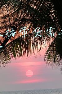 抖音带货需要什么设备(抖音电商标准化选品指南)
