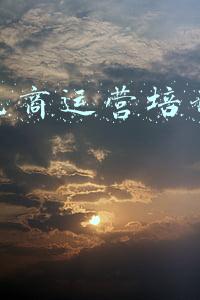 郑州电商运营培训机构(郑州市电商协会正式成立，郑州投控产业园董事长当选会长)