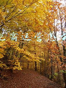 跨境电商运营怎么跟卖