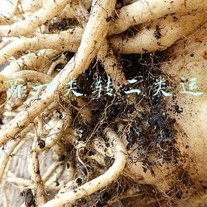 电商一类转二类运营