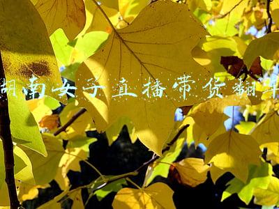 盘点主播带货翻车现场(直播间辱骂顾客屈臣氏致歉 盘点这些年带货“翻车”的主播们)