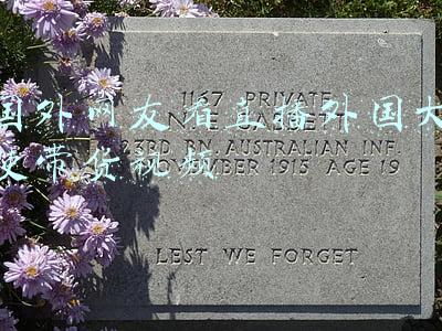 国外网友看直播外国大使带货视频