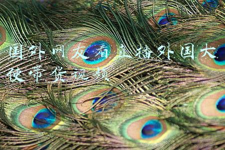 国外网友看直播外国大使带货视频