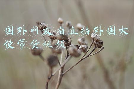 国外网友评论中印战争(美国媒体评中印战争：中国打印度“就像小刀切黄油”)