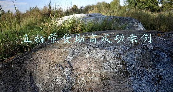 直播带货助商成功案例