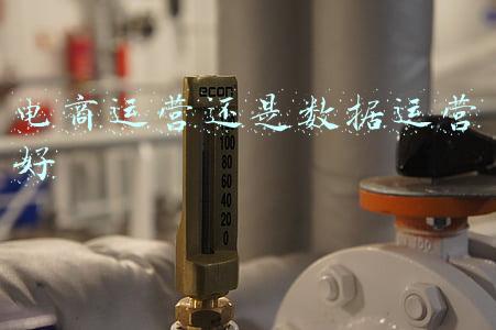 电商运营数据(9月电商数据分析：线上销售平淡，龙头表现分化)