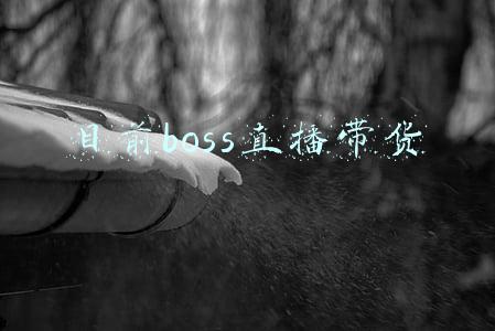 目前boss直播带货
