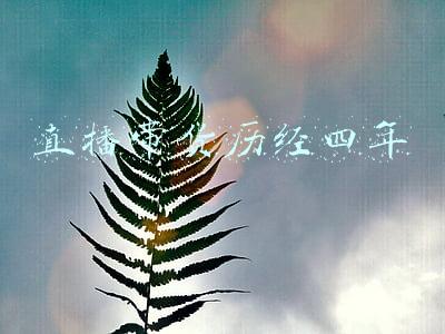 直播带货流程策划方案(让你多多订单！淘宝直播带货怎么做？)