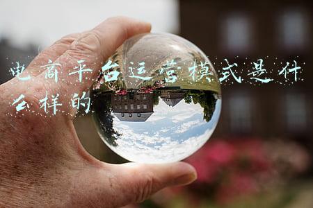 电商平台运营模式(一篇文章教你搞懂10种电商模式)