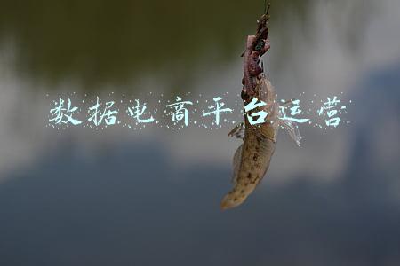 各大电商平台数据分析(品牌收购商激增！2021年亚马逊、Shopify等最新平台数据分析)