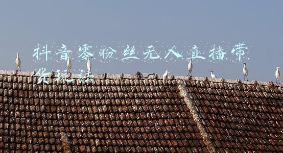 抖音零粉丝可以直播卖货吗(抖音账号0粉丝如何开展直播卖货？)