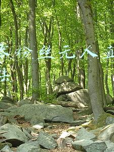 粉丝与主播互动玩法(「1」直播间里如何与粉丝互动，做个人人喜欢的主播)