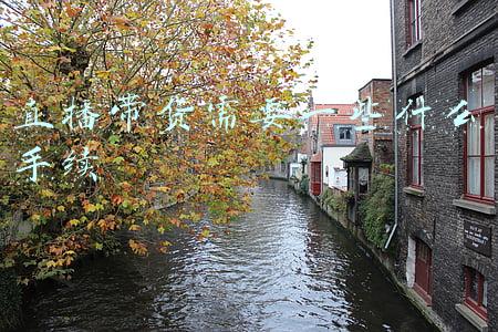 直播带货需要营业执照吗(直播带货需要持证上岗吗？带货主播成为正式工种)