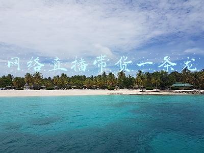网络直播带货一条龙