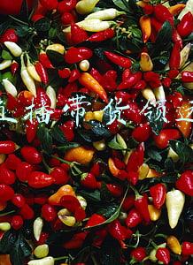 重庆直播带货公司(一边展示项目一边直播带货 重庆这场农民工返乡创业大赛看点十足)