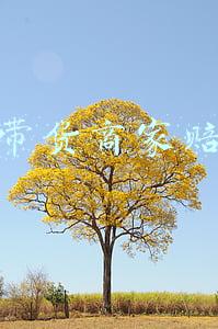 直播带货商家赔惨了