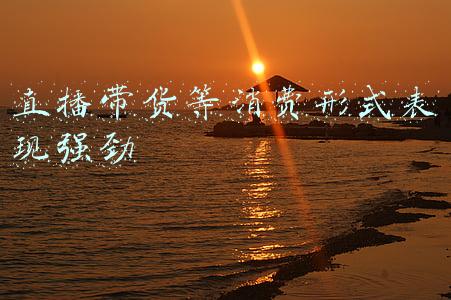 直播带货对消费行为的影响(网络直播带货发展迅猛 有积极影响亦有缺陷漏洞)