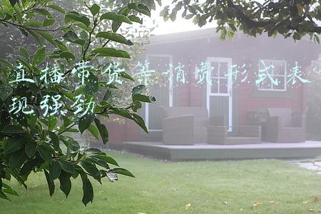 直播带货等消费形式表现强劲