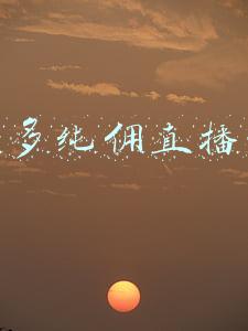 拼多多纯佣直播带货