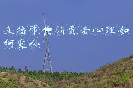 直播带货消费者心理如何变化