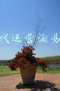 青岛代运营淘易电商