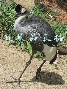 超市直播带货(超市老板娘携未成年儿子直播带货，被处罚教育)