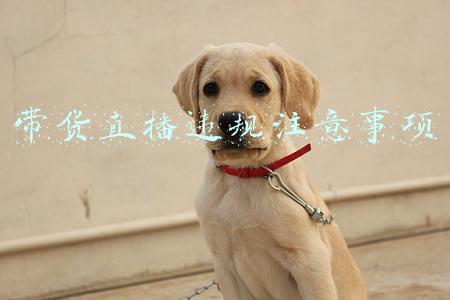 带货直播违规注意事项