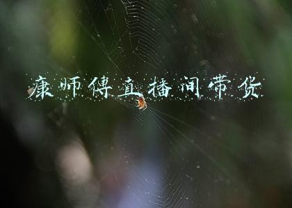 直播带货全面小康(直播带货，声声话小康)