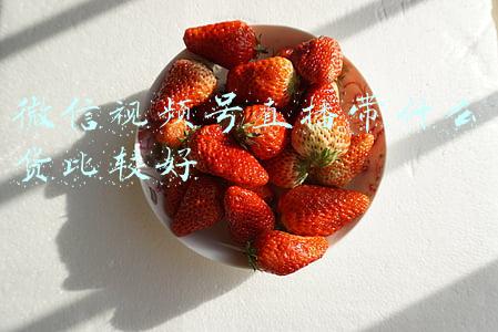 微信视频号带货怎么样(资源砸进去，视频号直播带货今年能“起量”吗？)
