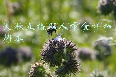 美妆找货平台(5个超级实用的宝藏美妆App)