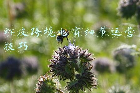 虾皮跨境电商细节运营技巧