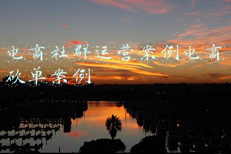 电商成功案例(三大电商典型案例，让你称心如意网上购物！)