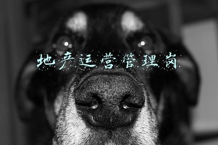 地产运营管理岗位面试问题(迷茫的地产人：被裁、讨债，转型去大厂)