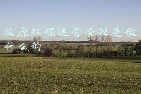 牧原环保运营管理是做什么的