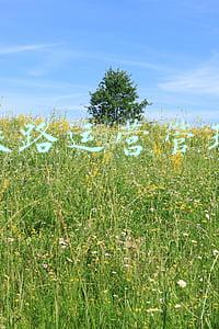 女生铁路运营管理专业