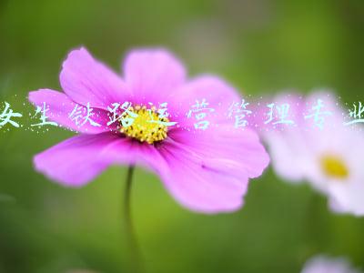 女生铁路运营管理专业