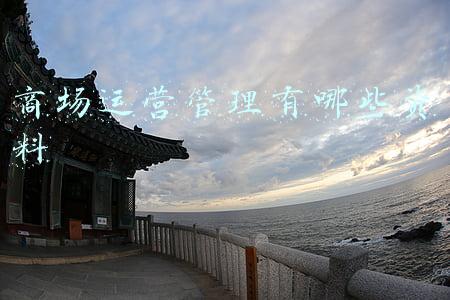 商场运营管理有哪些资料