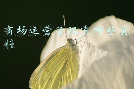 商场运营经理工作内容(平高世贸招聘招商、营运经理)