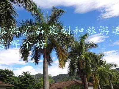 旅游厂品策划和旅游运营哪个好