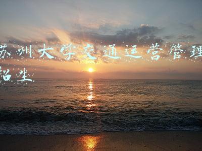 苏州大学交通运营管理招生