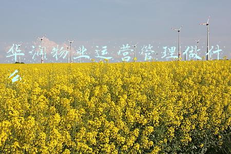 华润物业运营管理做什么